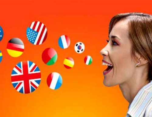 Yeminli Tercüme Hizmetleri